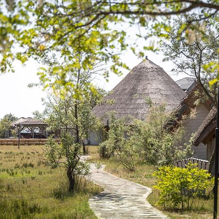 Dolphin Camping Sfantu Gheorghe  Bagian luar foto