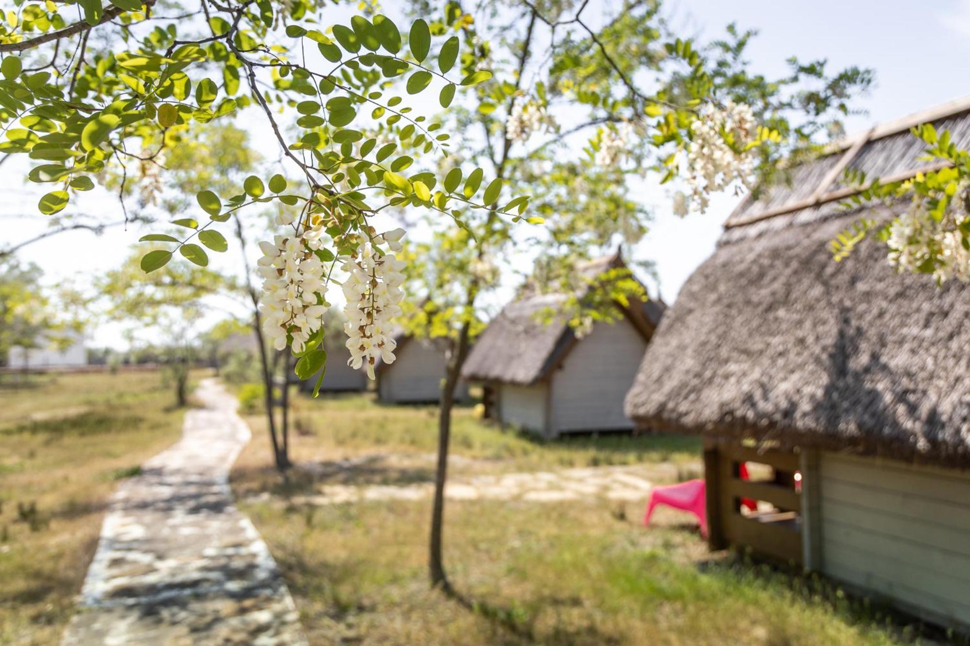 Dolphin Camping Sfantu Gheorghe  Bagian luar foto
