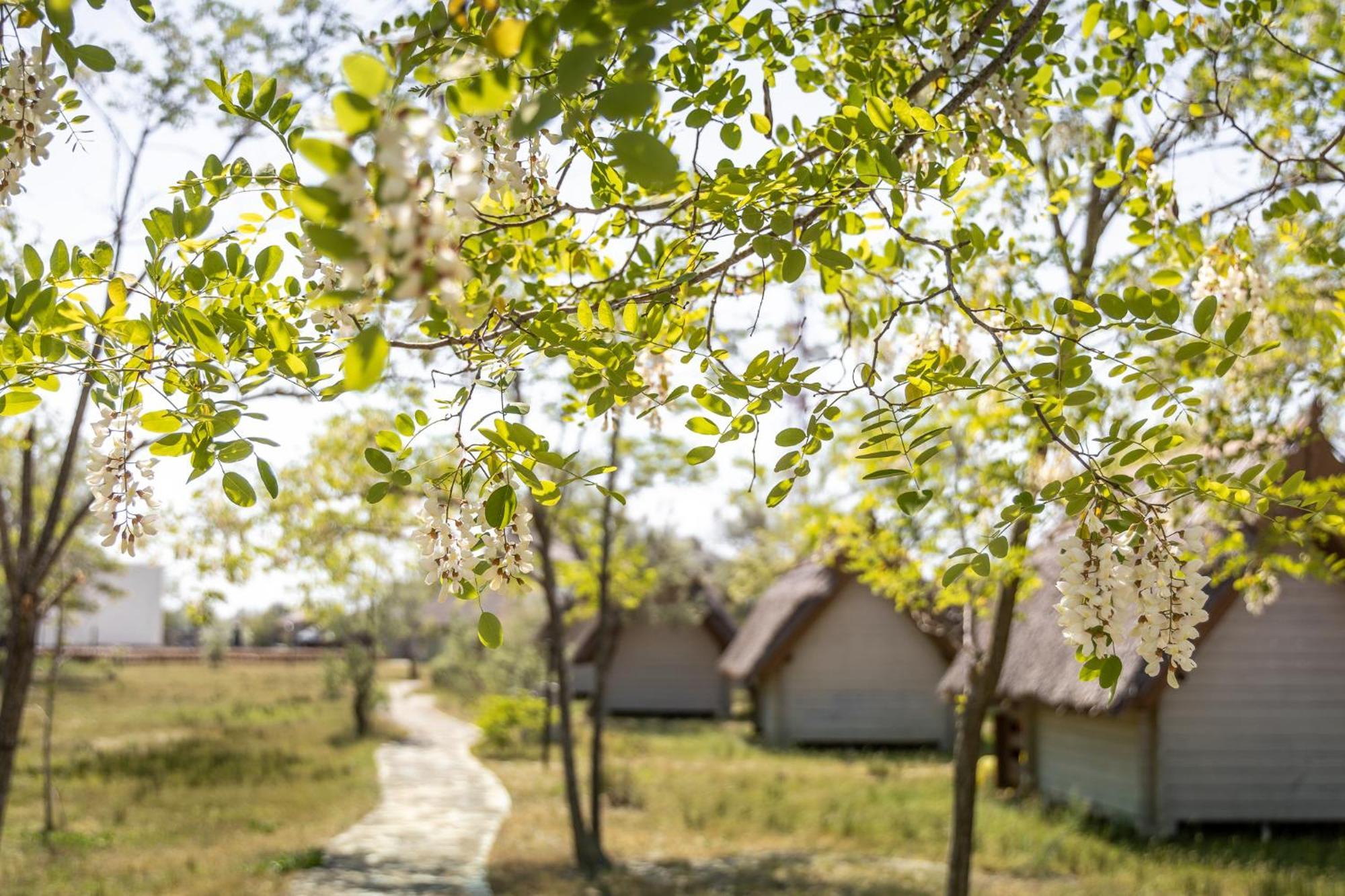 Dolphin Camping Hotel Sfantu Gheorghe  Bagian luar foto