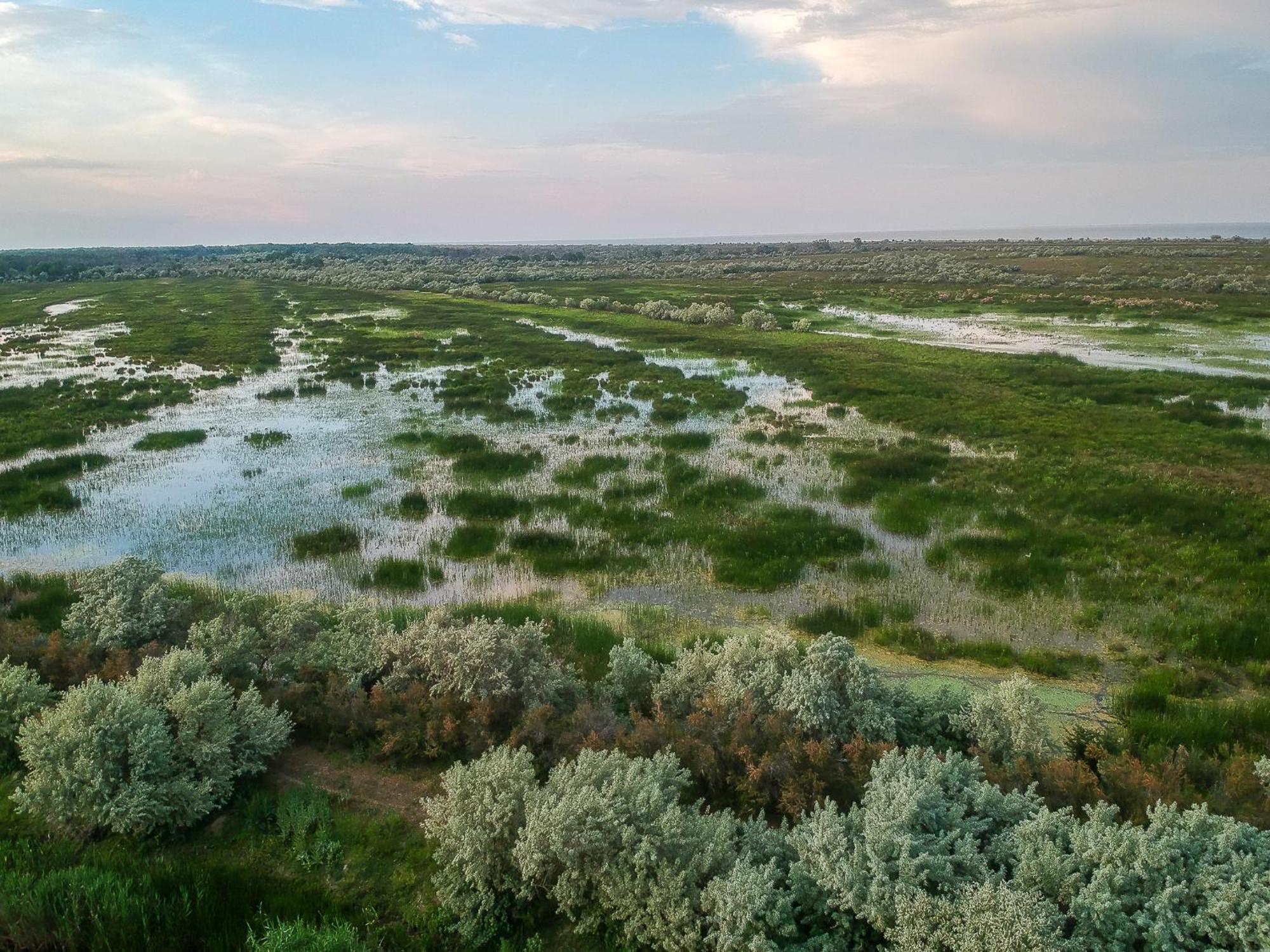 Dolphin Camping Hotel Sfantu Gheorghe  Bagian luar foto